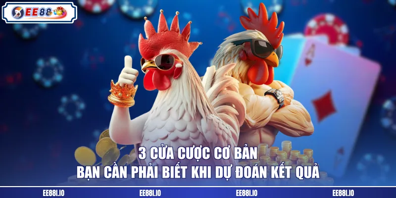 3 cửa cược cơ bản bạn cần phải biết khi dự đoán kết quả