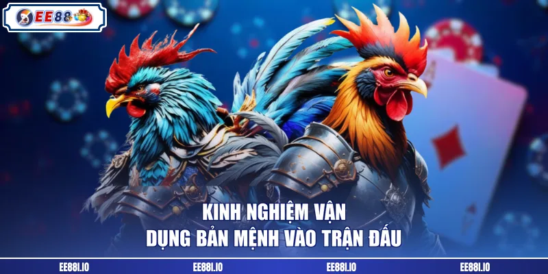 Kinh nghiệm vận dụng bản mệnh vào trận đấu