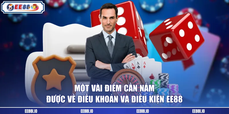 Một vài điểm cần nắm được về điều khoản và điều kiện EE88